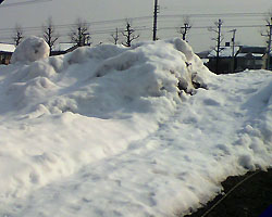 110207_3.jpg