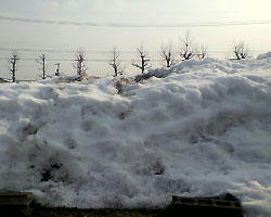 110207_4.jpg