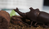 110224_03.jpg