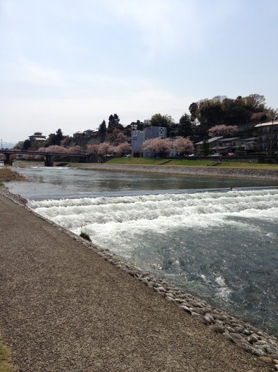 saigawa2.jpegのサムネール画像