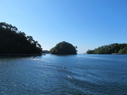 IMG_3485.jpg