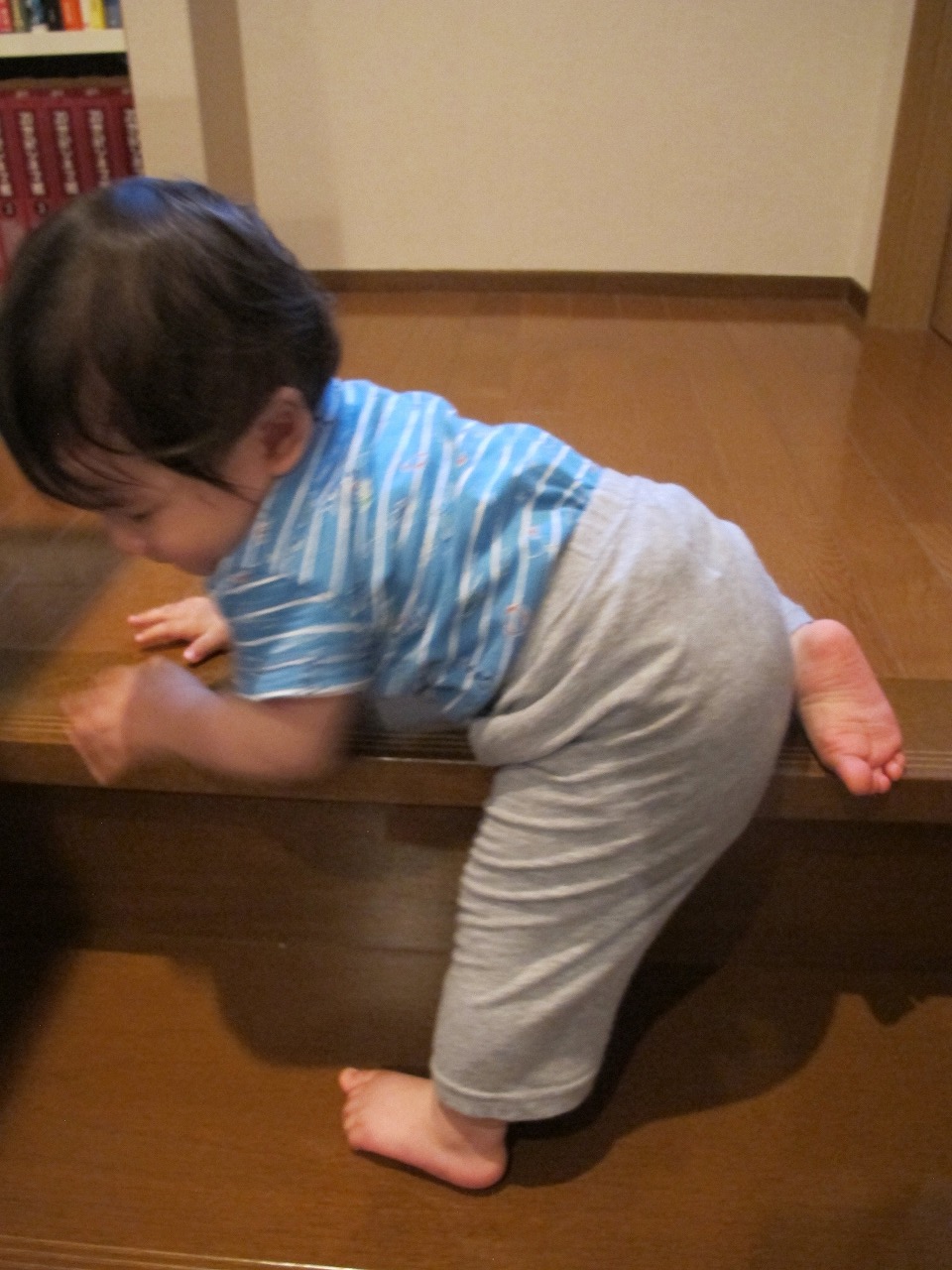 IMG_7260.jpg