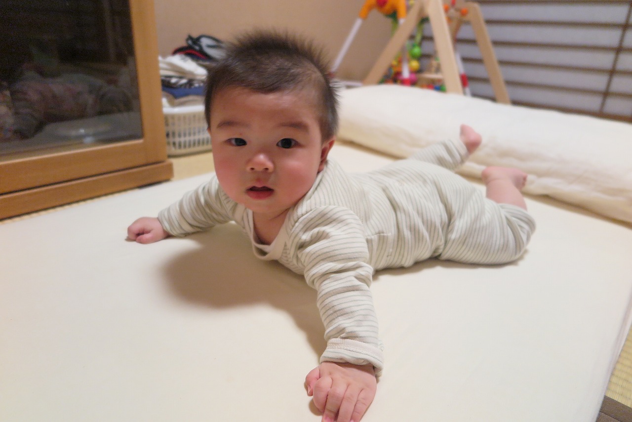 IMG_8385.jpg