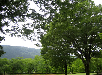 110606ito1.jpg