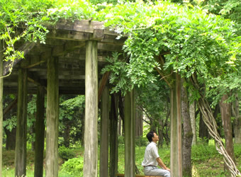 110606ito2.jpg