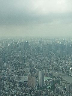 s-スカイツリー景色　都心方面.jpg