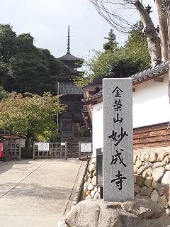 s-妙成寺.jpg