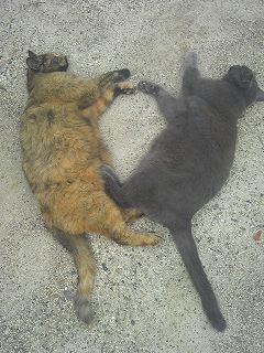 s-親子でまったり .jpg