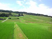 s-2011070814140000.jpg