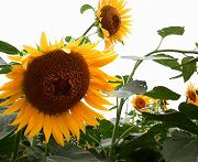 s-2011072910000000.jpg