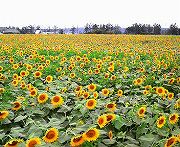 s-2011072911060000.jpg