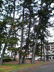 s-2012011013180001.jpg
