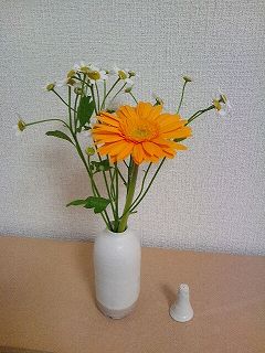 s-20121115　花.jpg