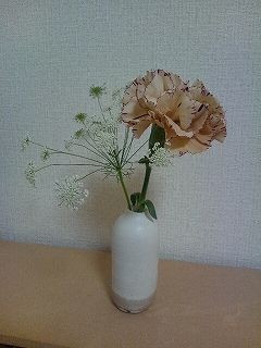 s-DSC_1030.jpg