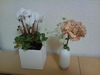 s-DSC_1031.jpg