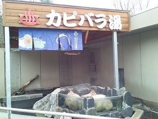 s-DSC_1123.jpg