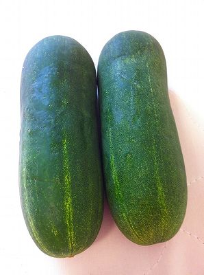 ジスイヲハジメマシタ・・・