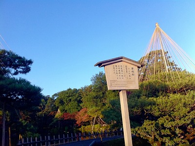 唐崎松.jpg