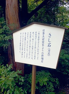 031.jpg