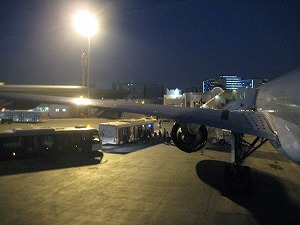 IMG_0975.jpg