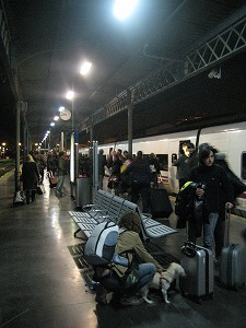 IMG_0993.jpg