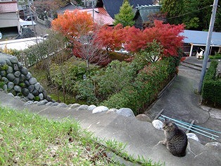 h6.jpg