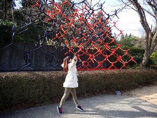 s-1512830_459137514193043_2087772185_n.jpg