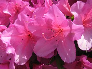 s-IMG_1543.jpg