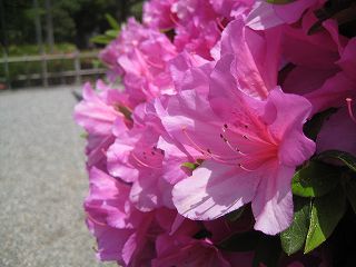s-IMG_1544.jpg