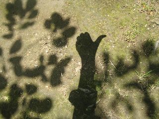 s-IMG_1563.jpg