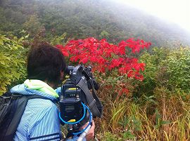 s-IMG_3594.jpg