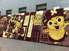 s-IMG_4451.jpg
