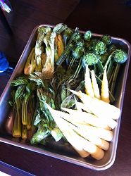 s-IMG_4863.jpg