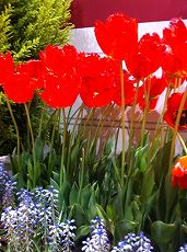 s-IMG_5158.jpg