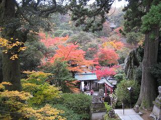 s-IMG_5445.jpg