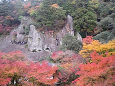 s-IMG_5448.jpg