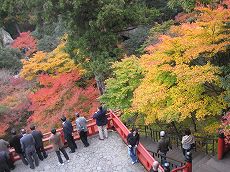 s-IMG_5450.jpg