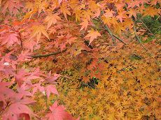 s-IMG_5457.jpg