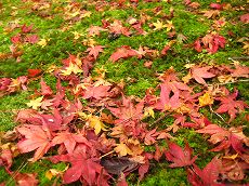s-IMG_5459.jpg