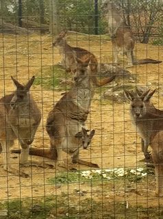 s-IMG_6075.jpg