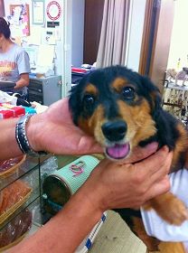 s-IMG_6589[1].jpg