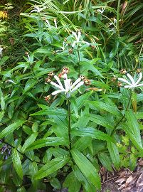 s-IMG_7770.jpg