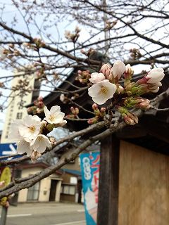 s-IMG_8720.jpg