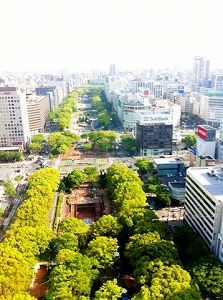 s-IMG_8784.jpg
