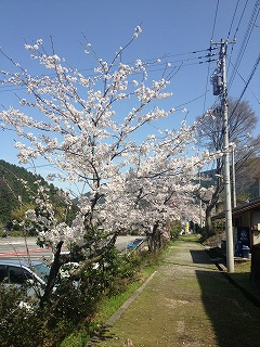 sirayamahimejinnjyamae.jpg
