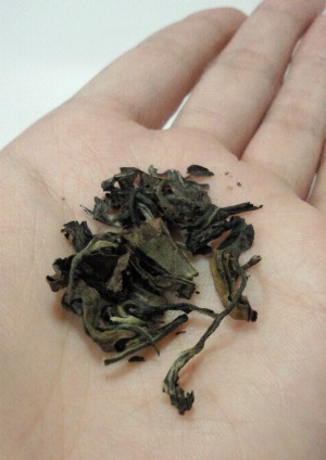 お茶２.jpg