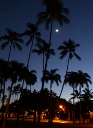 夏.jpg
