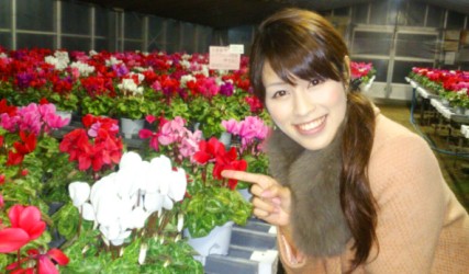 師走の花.jpg