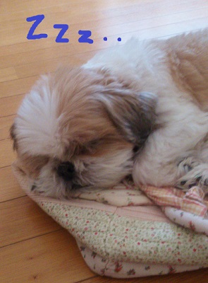 眠る.jpg
