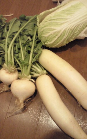 野菜.jpg